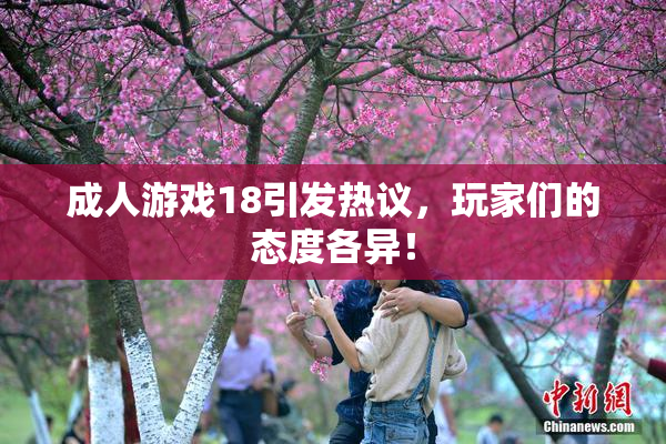 成人游戏18引发热议，玩家们的态度各异！