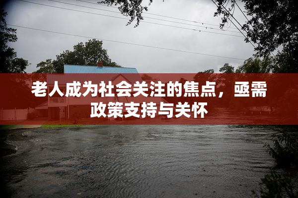 老人成为社会关注的焦点，亟需政策支持与关怀