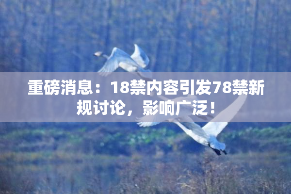 重磅消息：18禁内容引发78禁新规讨论，影响广泛！