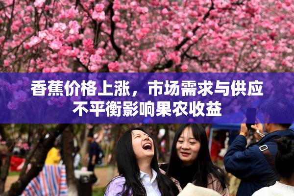 香蕉价格上涨，市场需求与供应不平衡影响果农收益