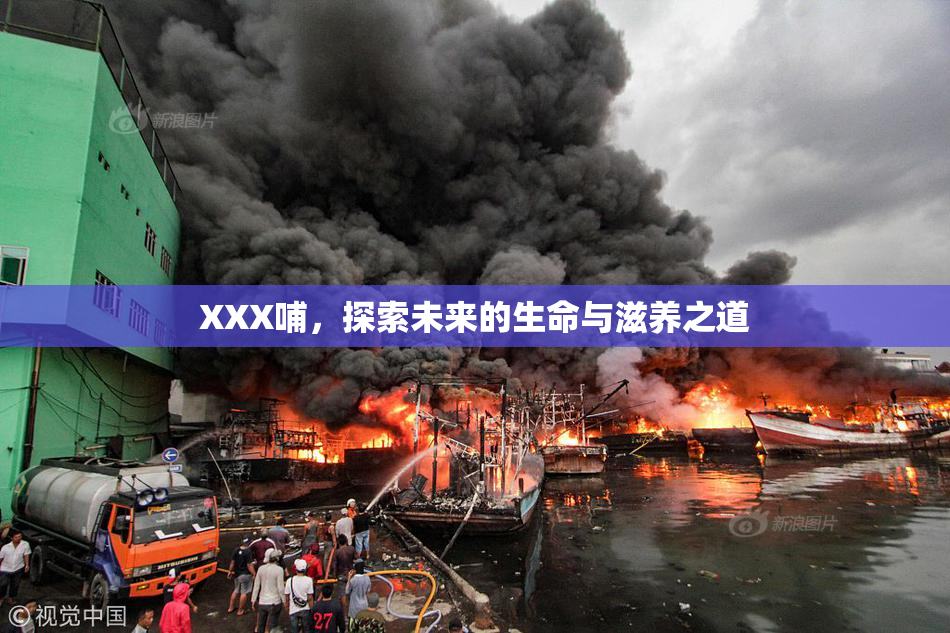 XXX哺，探索未来的生命与滋养之道