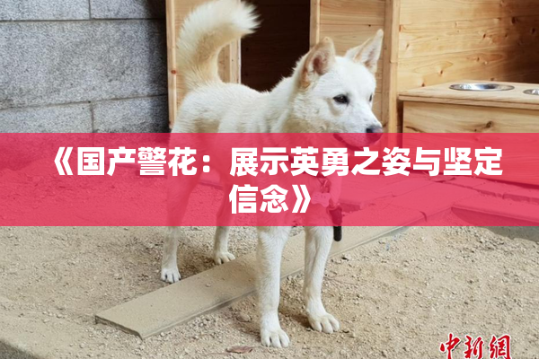 《国产警花：展示英勇之姿与坚定信念》