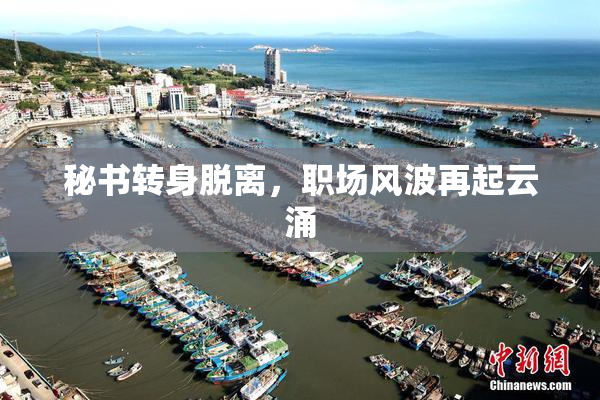 秘书转身脱离，职场风波再起云涌