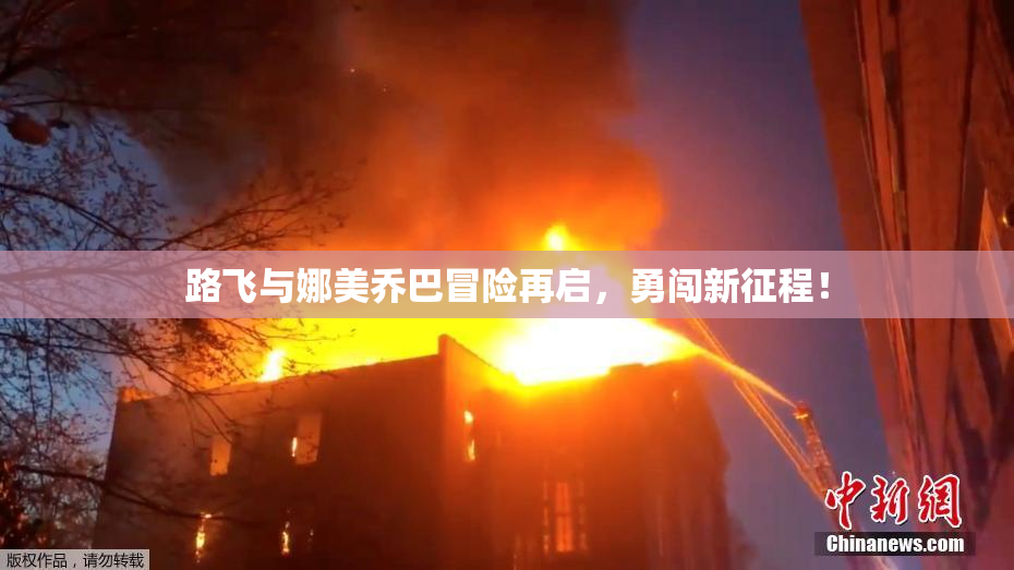路飞与娜美乔巴冒险再启，勇闯新征程！