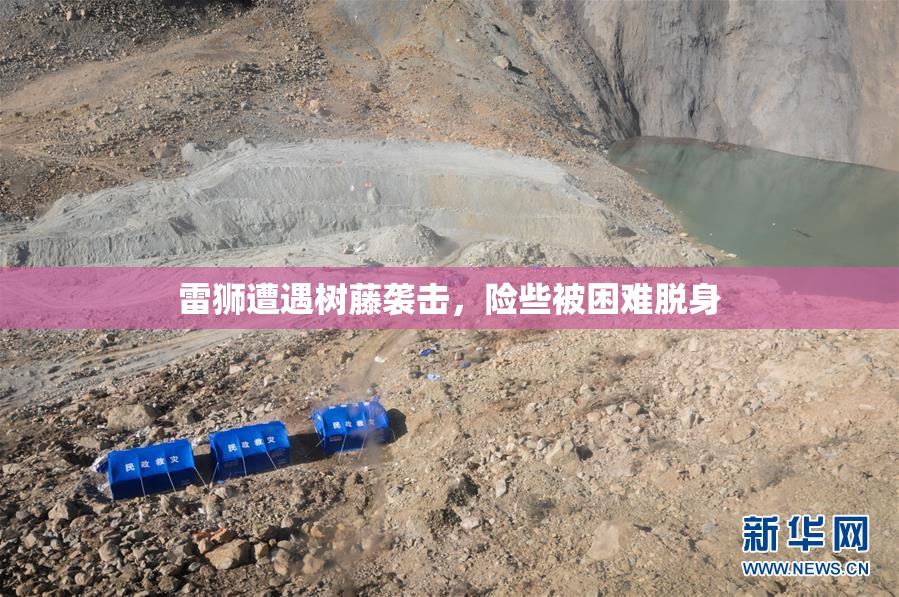 雷狮遭遇树藤袭击，险些被困难脱身