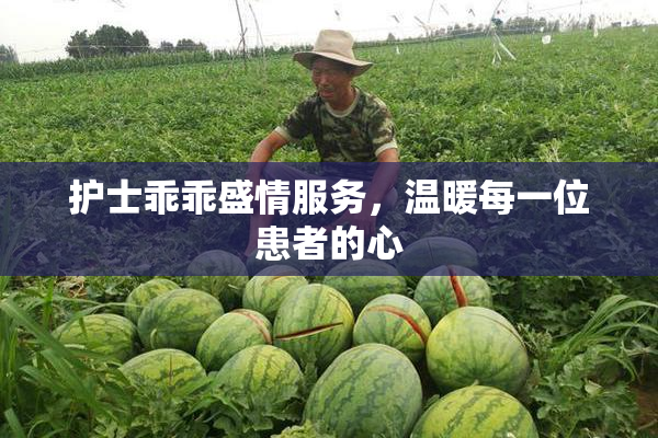 护士乖乖盛情服务，温暖每一位患者的心