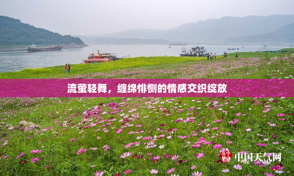 流萤轻舞，缠绵悱恻的情感交织绽放