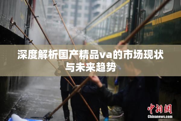 深度解析国产精品va的市场现状与未来趋势