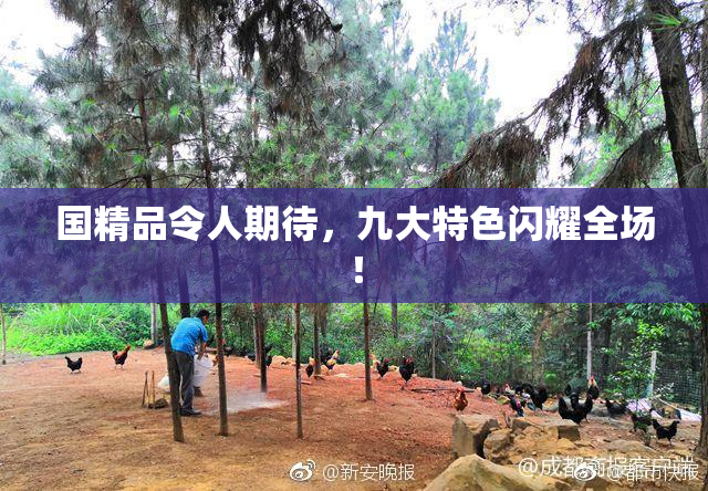 国精品令人期待，九大特色闪耀全场！