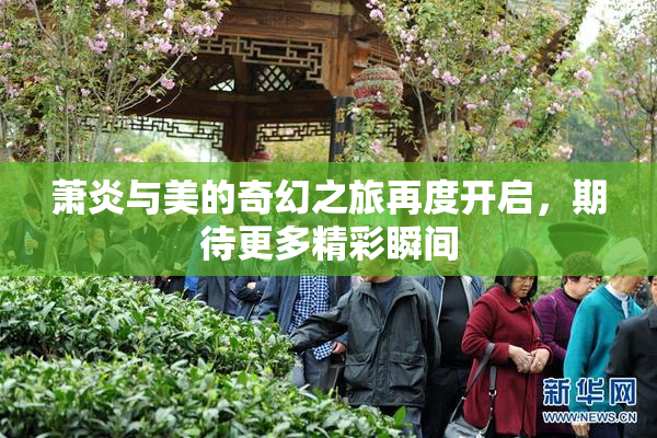 萧炎与美的奇幻之旅再度开启，期待更多精彩瞬间
