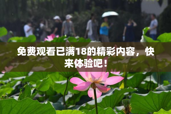 免费观看已满18的精彩内容，快来体验吧！