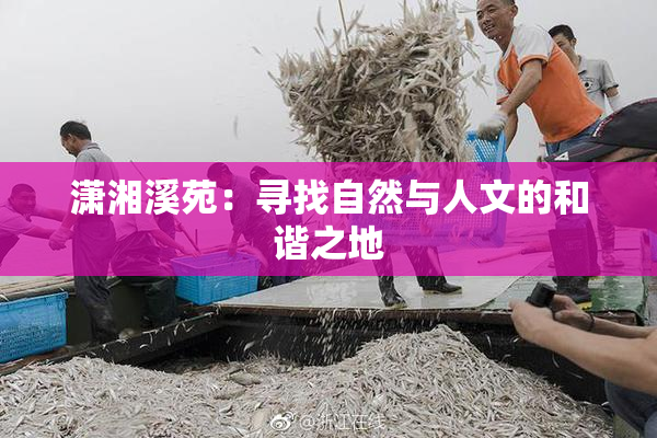 潇湘溪苑：寻找自然与人文的和谐之地