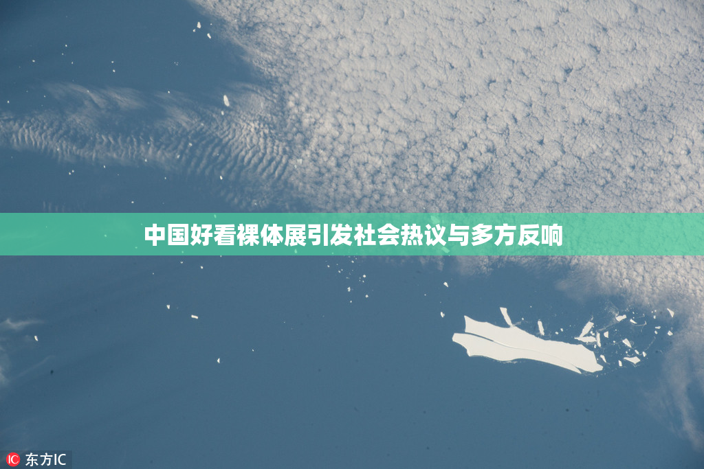 中国好看裸体展引发社会热议与多方反响