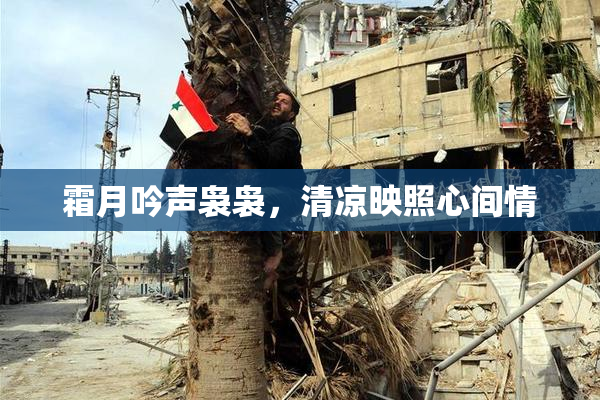 霜月吟声袅袅，清凉映照心间情