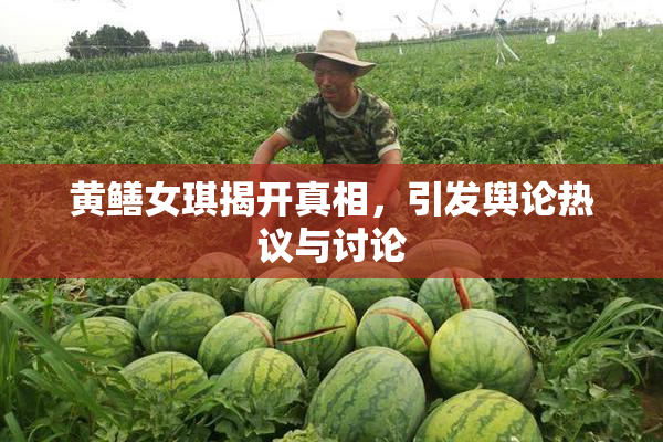 黄鳝女琪揭开真相，引发舆论热议与讨论