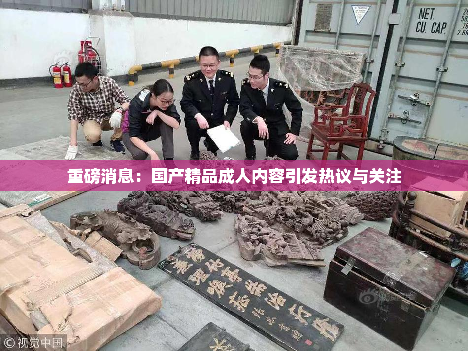 重磅消息：国产精品成人内容引发热议与关注