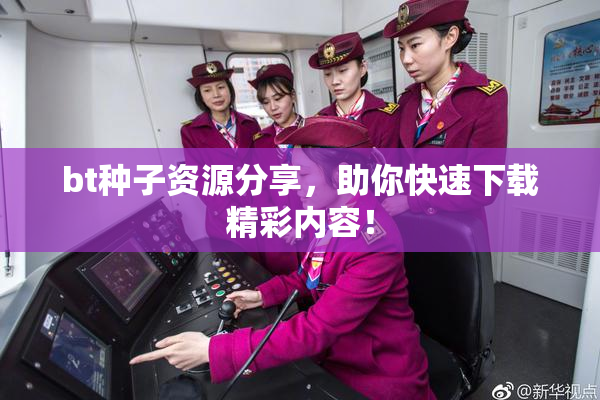 bt种子资源分享，助你快速下载精彩内容！