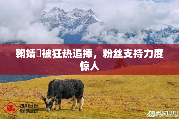鞠婧祎被狂热追捧，粉丝支持力度惊人