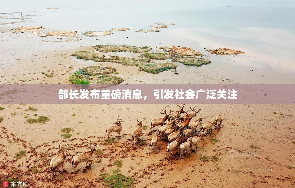 部长发布重磅消息，引发社会广泛关注