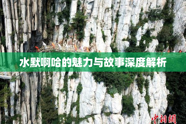水默啊哈的魅力与故事深度解析