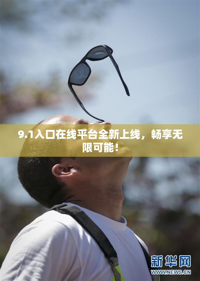 9.1入口在线平台全新上线，畅享无限可能！