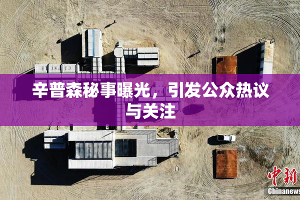 辛普森秘事曝光，引发公众热议与关注