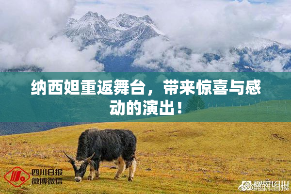 纳西妲重返舞台，带来惊喜与感动的演出！