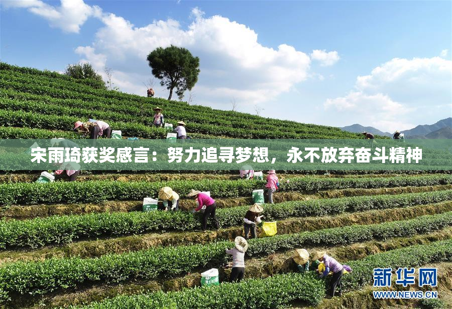 宋雨琦获奖感言：努力追寻梦想，永不放弃奋斗精神