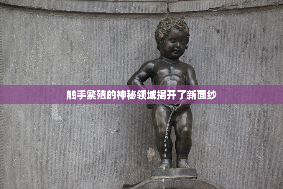 触手繁殖的神秘领域揭开了新面纱