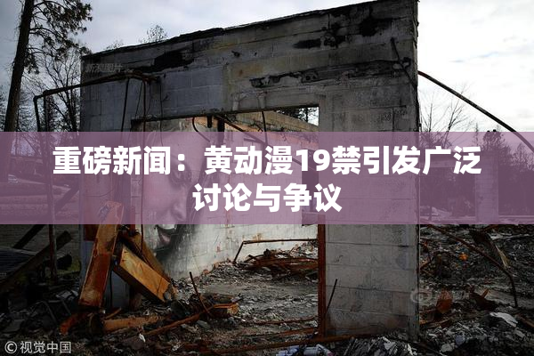 重磅新闻：黄动漫19禁引发广泛讨论与争议