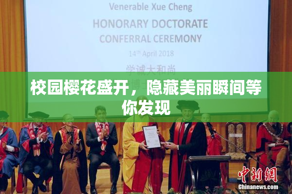 校园樱花盛开，隐藏美丽瞬间等你发现