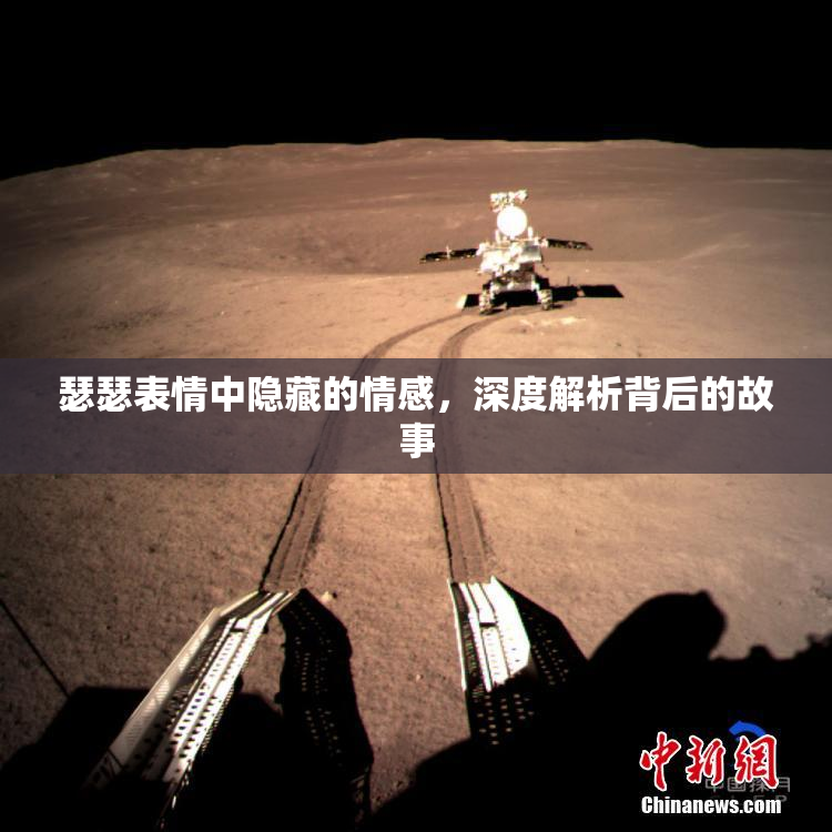 瑟瑟表情中隐藏的情感，深度解析背后的故事