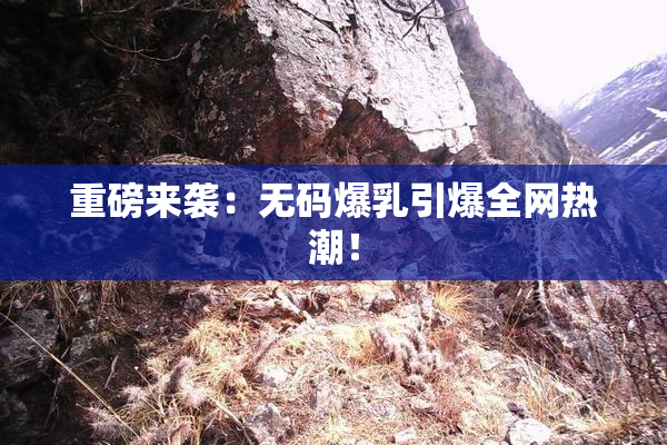 重磅来袭：无码爆乳引爆全网热潮！