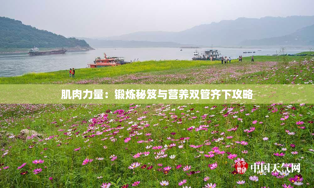 肌肉力量：锻炼秘笈与营养双管齐下攻略
