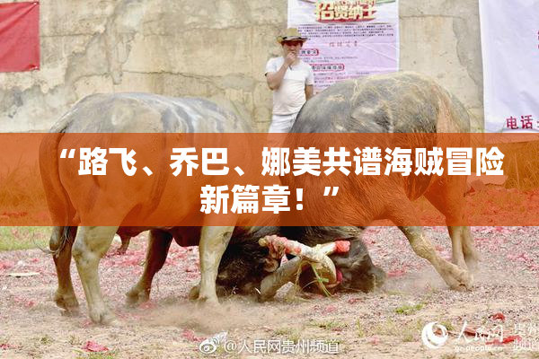 “路飞、乔巴、娜美共谱海贼冒险新篇章！”