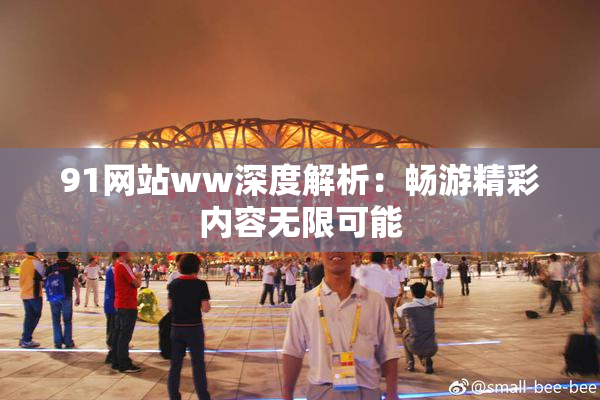 91网站ww深度解析：畅游精彩内容无限可能