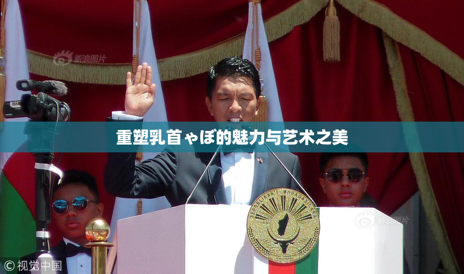 重塑乳首ゃぼ的魅力与艺术之美