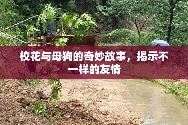 校花与母狗的奇妙故事，揭示不一样的友情