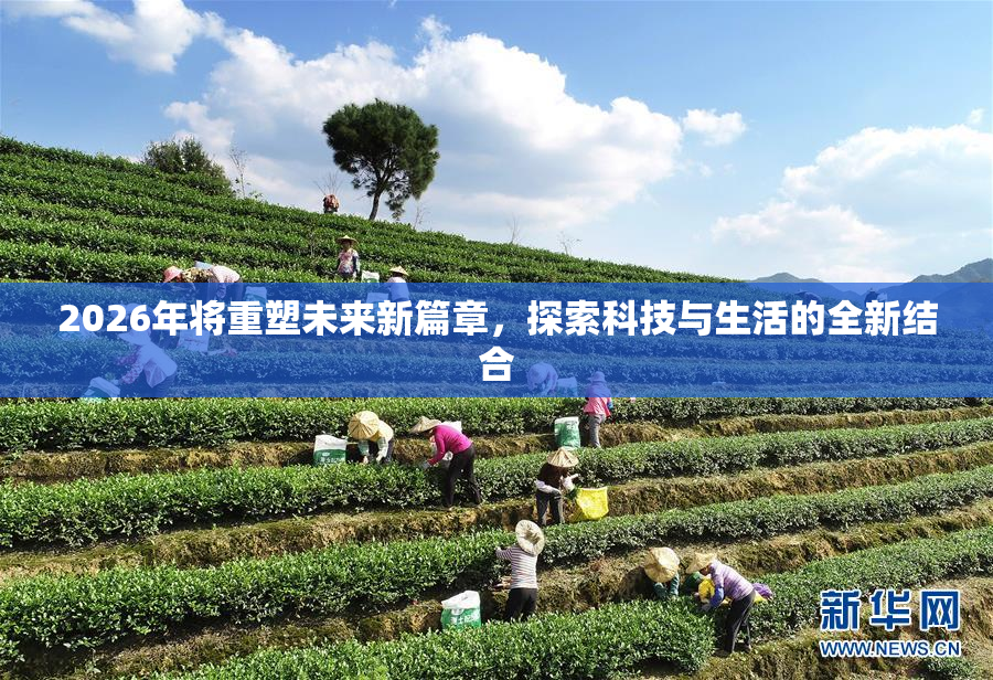 2026年将重塑未来新篇章，探索科技与生活的全新结合