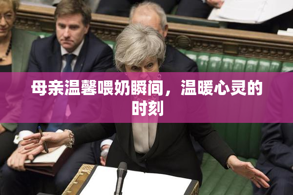 母亲温馨喂奶瞬间，温暖心灵的时刻