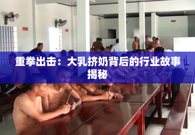 重拳出击：大乳挤奶背后的行业故事揭秘