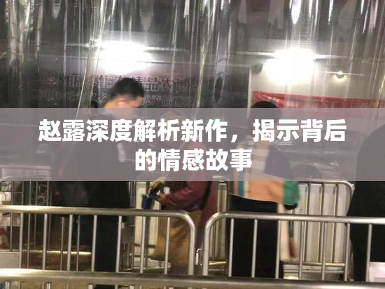 赵露深度解析新作，揭示背后的情感故事