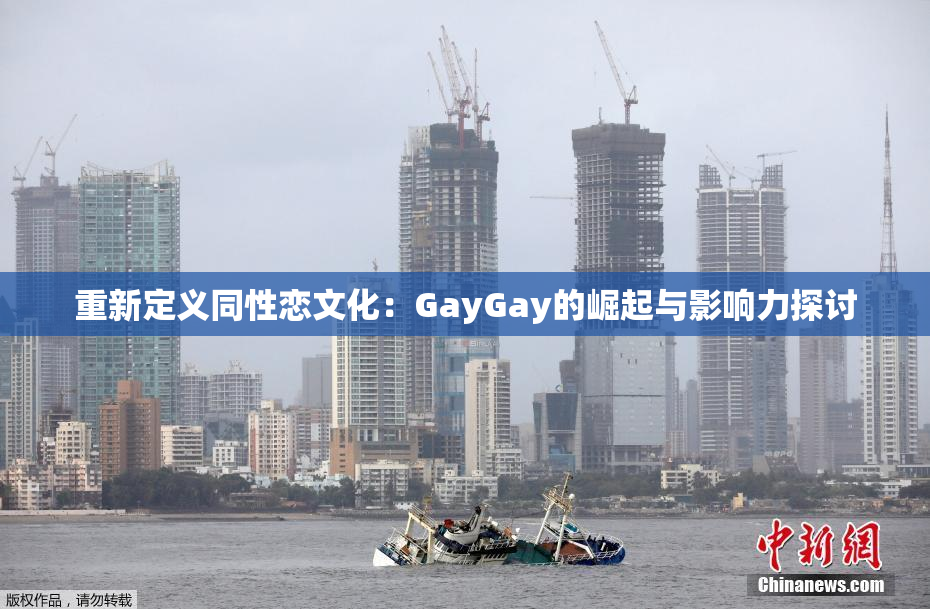 重新定义同性恋文化：GayGay的崛起与影响力探讨