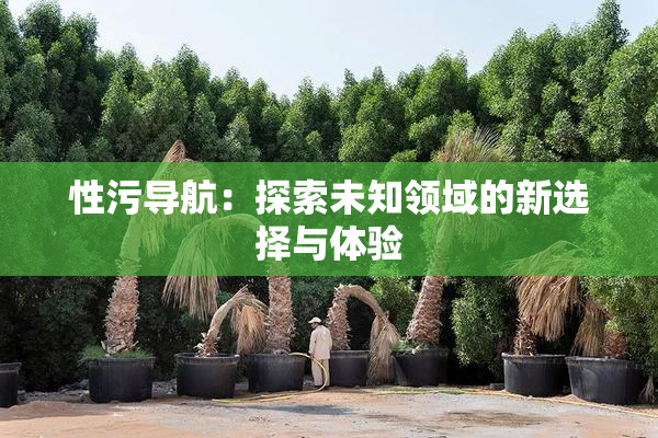 性污导航：探索未知领域的新选择与体验