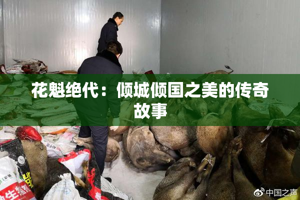 花魁绝代：倾城倾国之美的传奇故事