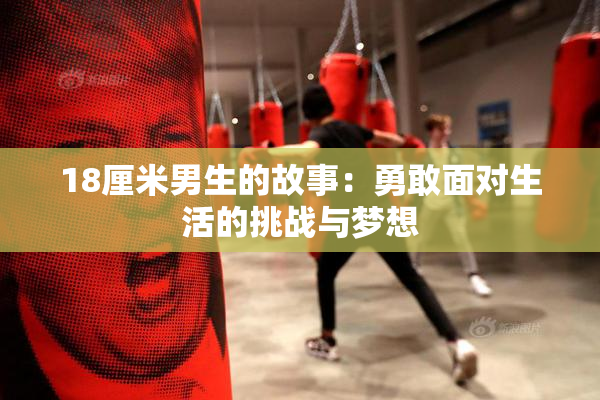 18厘米男生的故事：勇敢面对生活的挑战与梦想