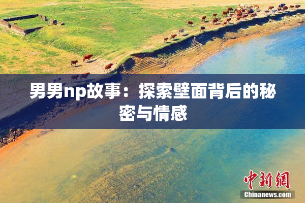 男男np故事：探索壁面背后的秘密与情感