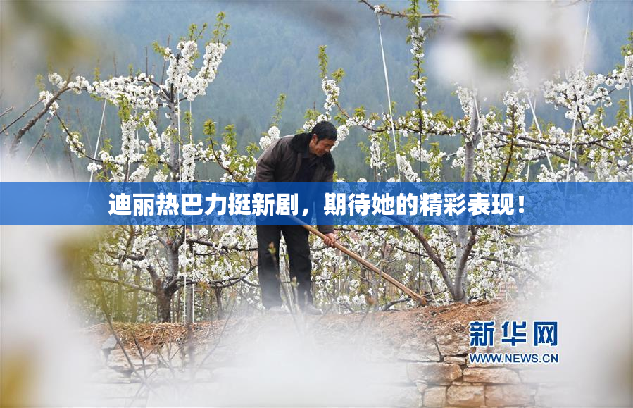 迪丽热巴力挺新剧，期待她的精彩表现！