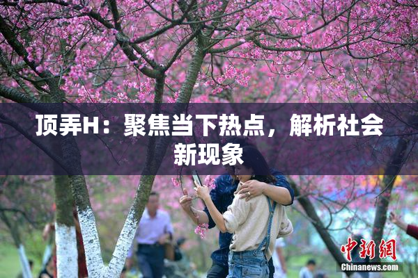 顶弄H：聚焦当下热点，解析社会新现象