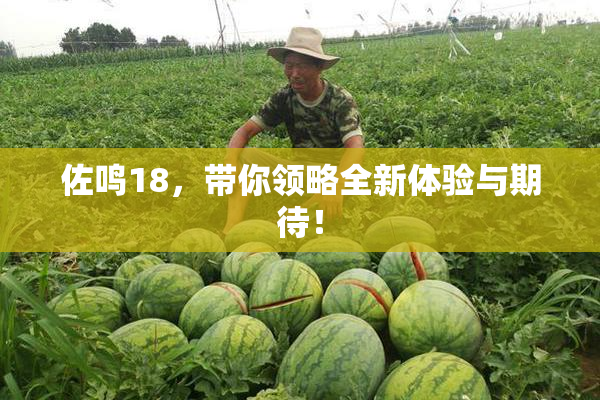 佐鸣18，带你领略全新体验与期待！